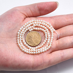 Natural Cultured Freshwater Pearl Beads Strands&nbsp;PEAR-N013-02D