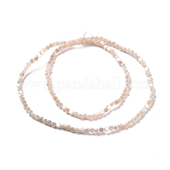 電気メッキガラスビーズセット  ABカラーメッキ  多面カット  フラットラウンド  ビスク  4.5x2.5~3mm  穴：0.8mm  約145~150個/連  21.26''（54センチメートル）&nbsp;GLAA-E036-04C