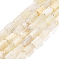 天然ホワイトムーンストーンビーズ連売り  シードビーズで  ファセット列  9~11x6~7.5x6~7.5mm  穴：1.2mm  約30個/連  15.16~15.55インチ（38.5~39.5cm）&nbsp;G-G068-A36-01