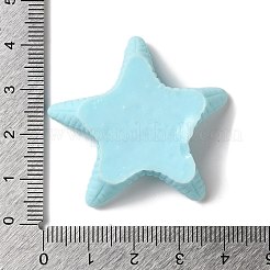 不透明樹脂の海の動物のデコデンカボション  ヒトデ  ライトスカイブルー  39x40x9mm&nbsp;RESI-M039-05C