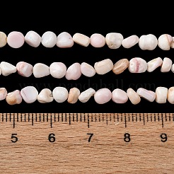 Natural Shell Beads Strands&nbsp;SHEL-K006-76