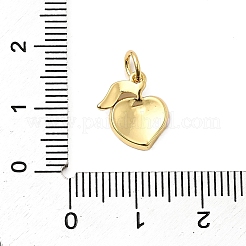 Brass Enamel Charms&nbsp;KK-A268-30G-01