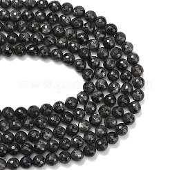 天然ラルビカイトビーズ連売り  多面カット  ラウンド  10mm  穴：1mm  約38~39個/連  15.16''（38.5センチメートル）&nbsp;G-C280-B06-10mm