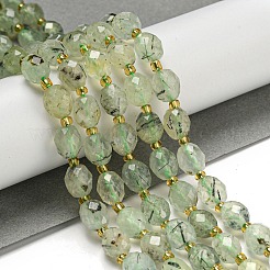 Natural Prehnite Beads Strands&nbsp;G-N342-58