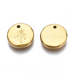 316 Surgical Stainless Steel Charms&nbsp;LS-STAS-S116-418K-G