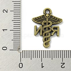 Tibetan Style Alloy Pendants&nbsp;TIBE-I026-5976AB
