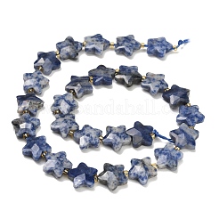 Natural Blue Spot Beads Strands&nbsp;G-P573-C45-01