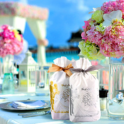 20pcs 2 Colors Rectangle Plastic Candy Gift Bags&nbsp;ABAG-TA0001-35