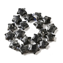 Natural Larvikite Beads Strands&nbsp;G-U023-C01-09