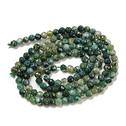 Natural Moss Agate Beads Strands&nbsp;G-K020-3mm-32
