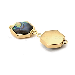 Natural Paua Shell Hexagon Connector Charms&nbsp;KK-G538-46G