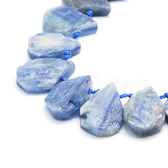 Natural Kyanite/Cyanite/Disthene Quartz Beads Strands&nbsp;G-E569-R03