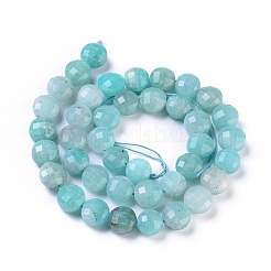 Natural Amazonite Beads Strands&nbsp;G-I249-A23