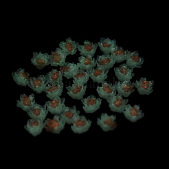 蓄光樹脂デコデンカボション  暗闇で光る花  キャメル  10x10x5mm&nbsp;RESI-K036-06F-01