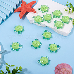 12Pcs Luminous Resin Cabochons&nbsp;RESI-TA0004-55A