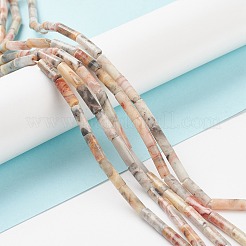 Natural Crazy Lace Agate Beads Strands&nbsp;G-F247-33