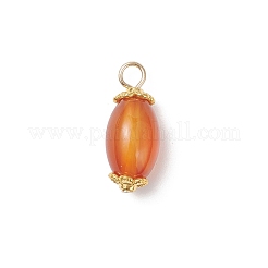 6Pcs Natural Agate(Dyed & Heated) Pendants&nbsp;PALLOY-JF04532-02