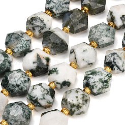 天然石ツリーアゲート瑪瑙ビーズ連売り  六角  多面カット  シードビーズで  10x11x6~7mm  穴：1.4mm  約15~16個/連  7.28''（18.5cm）〜7.48''（19cm）&nbsp;GG-CBA4A3B-B19
