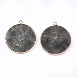Natural Labradorite Pendants&nbsp;G-T112-24H