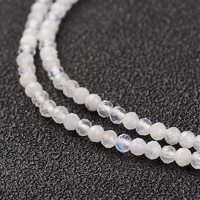 Natural Rainbow Moonstone Bead Strand&nbsp;G-G680-24-1