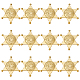 12Pcs Hexagram Plastic Cabochons&nbsp;AJEW-MA0001-18G-1