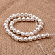 Polished Round Grade A Shell Pearl Bead Strands&nbsp;BSHE-M027-6mm-28-2
