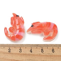 樹脂カボション  エビ  トマト  29.5x20.5x7.5mm&nbsp;RESI-R456-04A