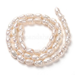 天然養殖淡水パールビーズ連売り  ライス  ビスク  6~8x4~5mm  穴：0.7mm  約52個/連  14.17インチ（36cm）&nbsp;PEAR-L033-60