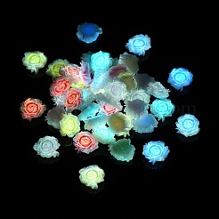 Luminous Resin Decoden Cabochons&nbsp;RESI-N039-80