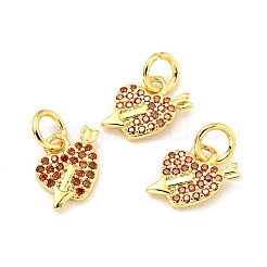 Rack Plating Brass Micro Pave Cubic Zirconia Charms&nbsp;KK-G394-04G