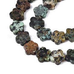 Natural African Turquoise(Jasper) Beads Strands&nbsp;LS-G-N257-24A-05