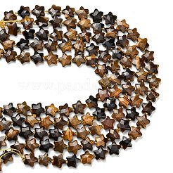 Natural Tiger Eye Beads Strands&nbsp;G-L657-A09-01