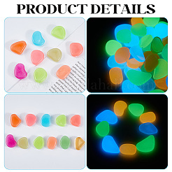 1 Set Resin Luminous Glow in the Dark Pebbles Stone&nbsp;DJEW-CN0001-40A