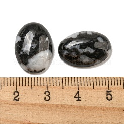 Natural Zebra Jasper Cabochons&nbsp;X-G-C115-01A-39