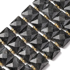 Natural Larvikite Beads Strands&nbsp;G-F839-A03-01