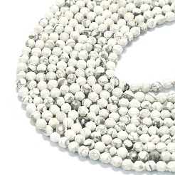 Natural Howlite Beads Strands&nbsp;G-A260-A25-01