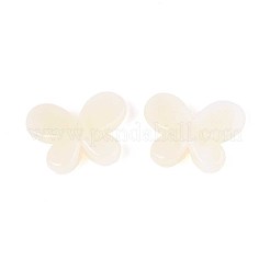Transparent Acrylic Beads&nbsp;OACR-A021-13B-01