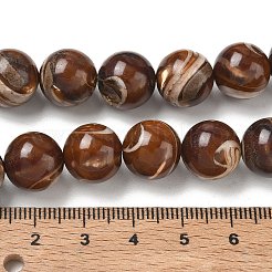 Natural Trochus Shell Beads Strands&nbsp;SH-CBAFEDD-02D