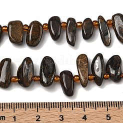 Natural Bronzite Beads Strands&nbsp;G-Z130-A02-01