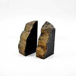 Natural Petrified Wood Decorative Bookends&nbsp;AJEW-H157-04