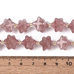 Natural Strawberry Quartz Beads Strands&nbsp;G-Q608-07A-03