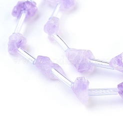 Natural Amethyst Beads Strands&nbsp;G-I250-03A