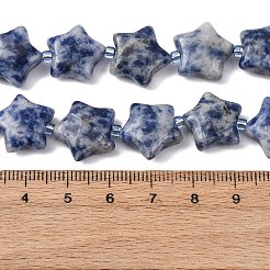 Natural Blue Spot Jasper Beads Strands&nbsp;G-K359-E11