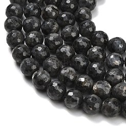 天然ラルビカイトビーズ連売り  多面カット  ラウンド  10mm  穴：1mm  約38~39個/連  15.16''（38.5センチメートル）&nbsp;G-C280-B06-10mm