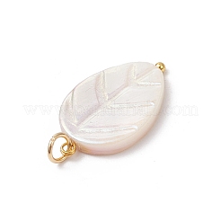 Natural Freshwater Shell Carved Leaf Pendants&nbsp;PALLOY-JF04190