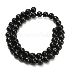 Natural Glaucophane Beads Strands&nbsp;G-L642-B03-8mm
