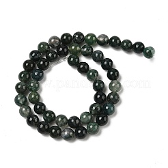Natural Moss Agate Beads Strands&nbsp;G-A248-A02-01