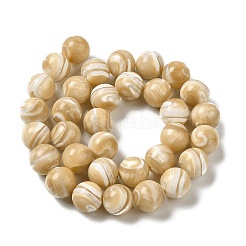 Natural Trochus Shell Beads Strands&nbsp;SHEL-K006-18C