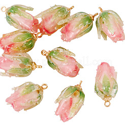 10Pcs Transparent Acrylic Pendants&nbsp;SACR-TA0001-66B