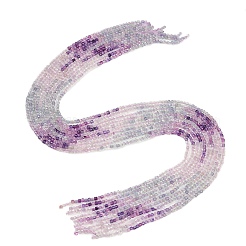 Natural Fluorite Beads Strands&nbsp;G-P457-B01-55